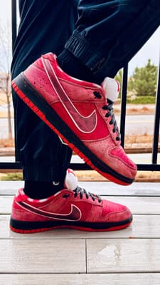 Nike SB Dunk Low Red Lobster