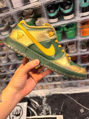 Nike SB Dunk Low Doernbecher Joey Bates