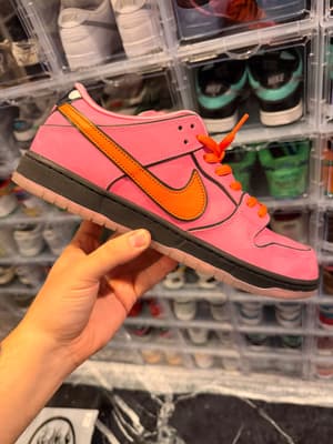 Nike SB Dunk The Powerpuff Girls Bubbles