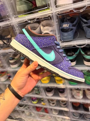 Electric Pack Olympic Safari (Custom)