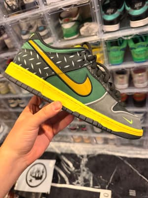 What the Duck Home University of Oregon PE