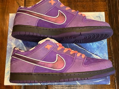 Purple Lobster