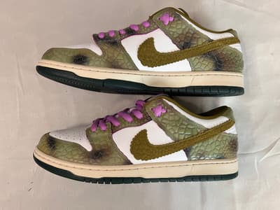 SB Dunk Low Chameleon