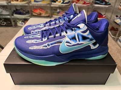 Kobe 5 X-Ray