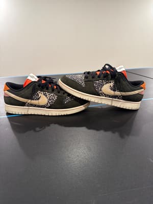 Nike Dunk low Gone Fishing Rainbow Trout