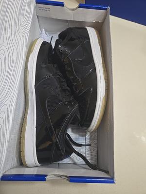 Nike Dunk Pro SB Low Space Jam 🚨🔥BLUE BOX GRAIL 🚨🔥