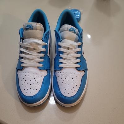 Eric Koston x Air Jordan 1 SB Low Powder Blue GREAT CONDITION NO BOX!!