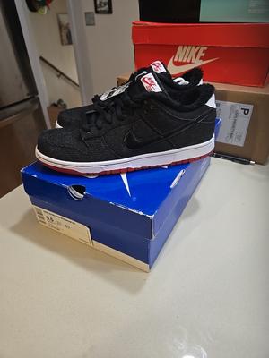 Nike Dunk Premium SB Low Larry Perkins 313170-007 2010 BRAND NEW IN BOX