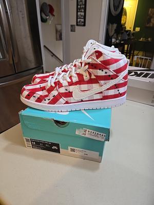 Nike Dunk Pro SB High Picnic🍴🌯🐜BRAND NEW IN📦 ONLY DS 14 ON APP🐜🌯🍴