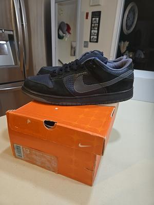 Nike Gino Iannucci x Dunk Pro SB Low Blue GREAT CONDITION 4 24 YRS OLD