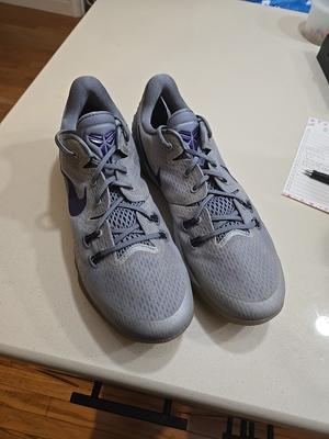 Nike Zoom Kobe Venomenon 5 Wolf Grey