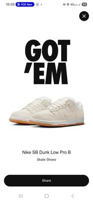 Nike Dunk SB Pro B Low Pale Ivory JUST RELEASED!!!