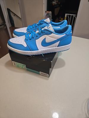 Size 13 Eric Koston Air Jordan 1 SB Low Powder Blue Cleanest Pre Owned On App🩵