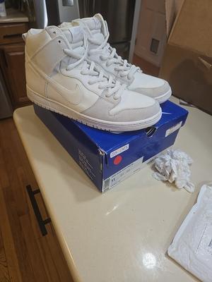 Size 11 Nike Dunk Pro SB High Metallic Summit White "White Ice" 🧊 VNDS WORN 1X