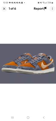 Nike Dunk SB Low Light Carbon Monarch