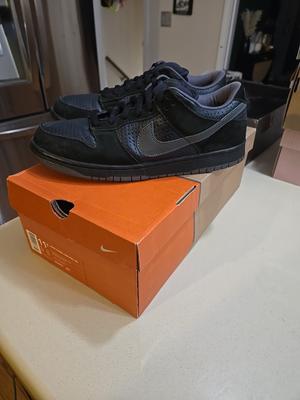 Nike Gino Iannucci x Dunk Pro SB Low Blue 2002 304292-401 Original SB