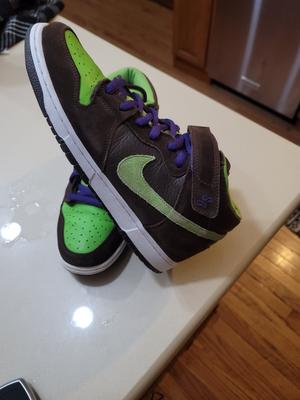 Nike SB Dunk Mid Pro Donatello